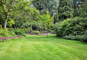 Optimiser l'expérience du jardin à Saint-Jean-de-Maruejols-et-Avejan